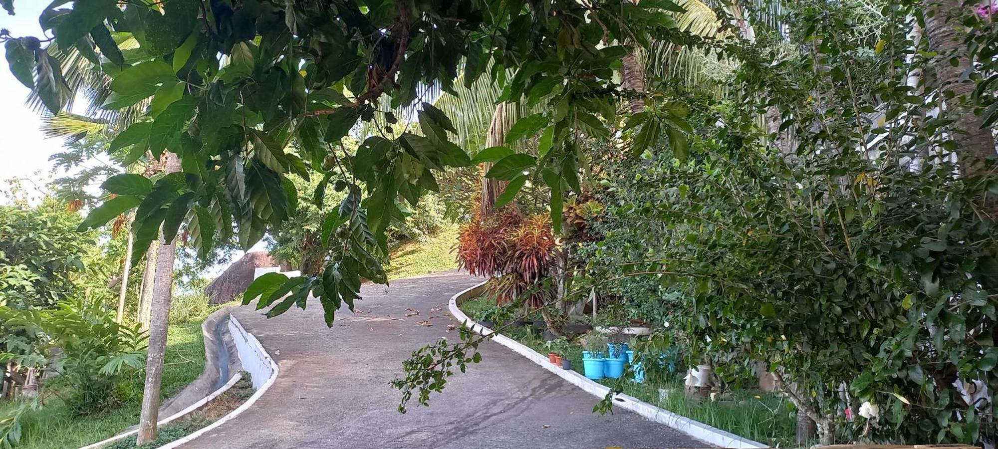 Petit Amour Villa, Seychelles Victoria Extérieur photo